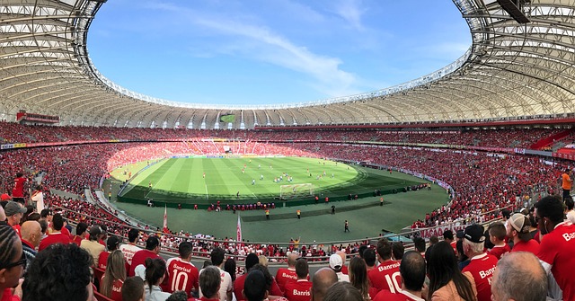 常青树