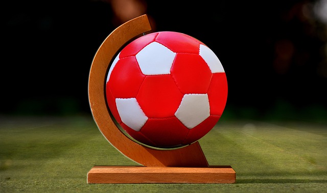 成長於科索 成長於科索