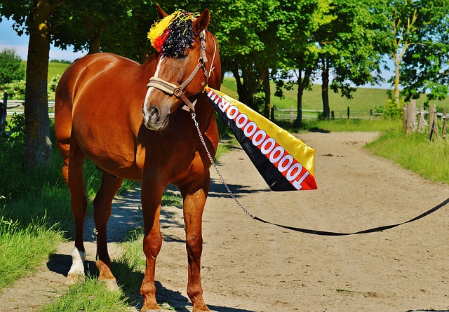 年的调查将 年的调查将