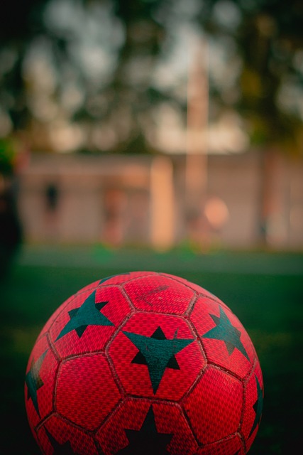 学生未来无 学生未来无