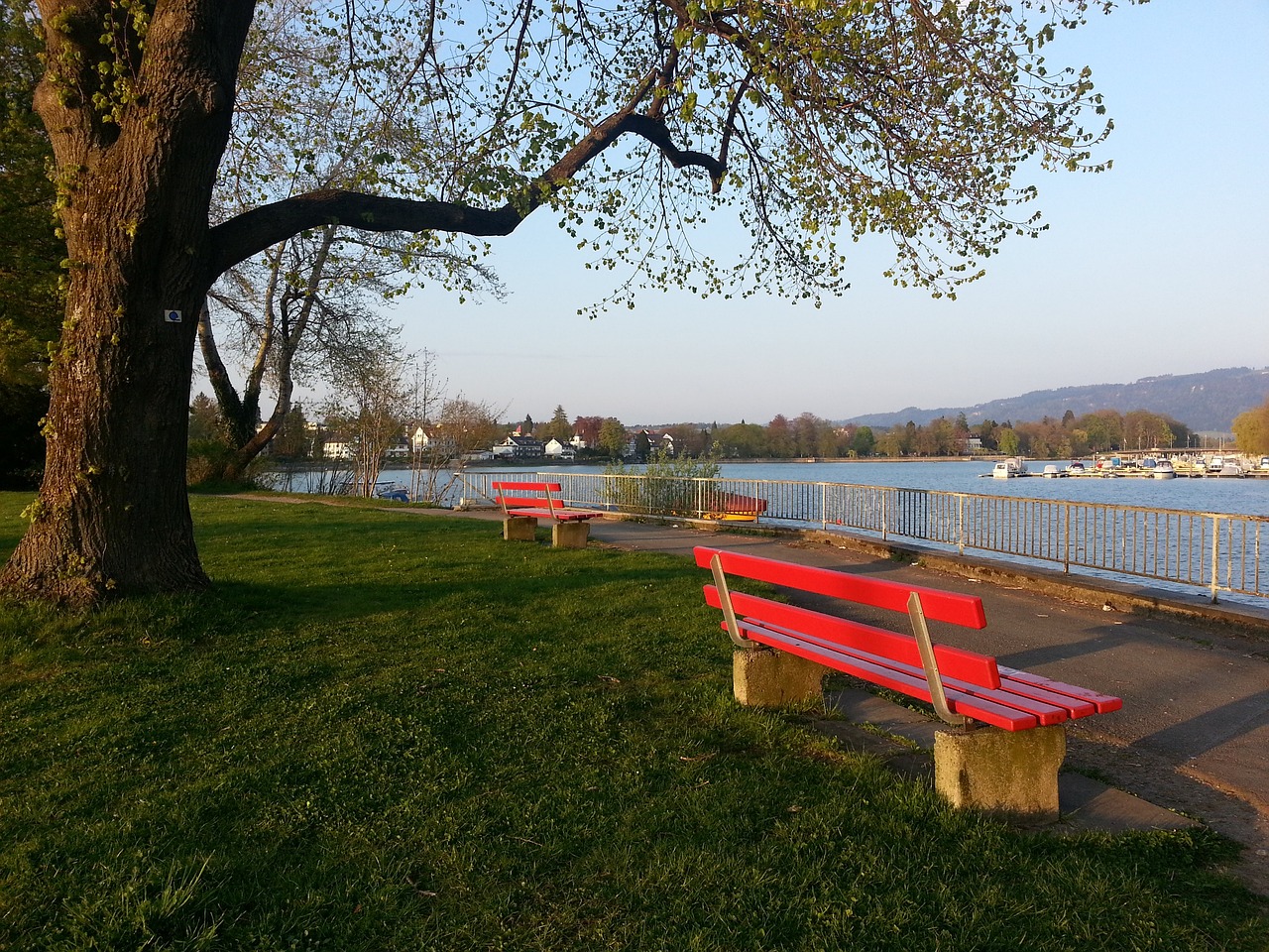 一名年轻的 一名年轻的