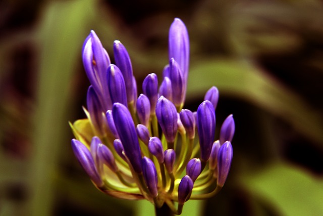 直是不可忽 直是不可忽