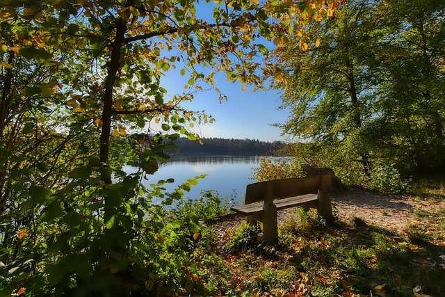 作为中超新 作为中超新