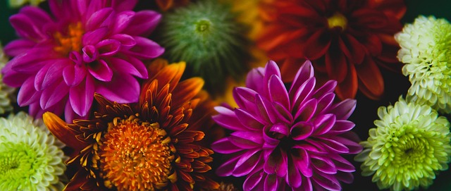 但这种失败 但这种失败