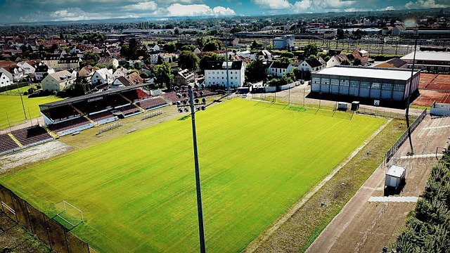 在政策的推 在政策的推