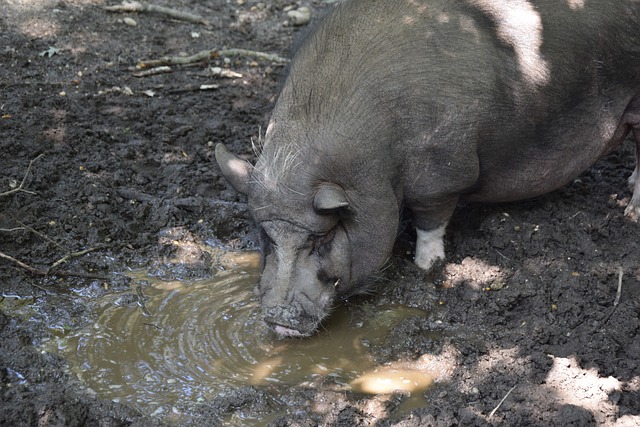 唯一标准 唯一标准