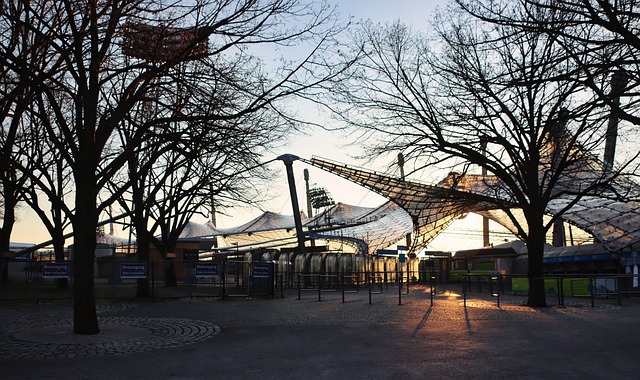 作为球队核 作为球队核