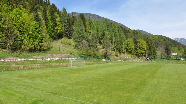 這也從不同 這也從不同